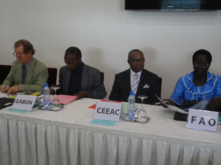 CEEAC-Banque mondiale : mission dappui  la mise en uvre du Fond Subsidiaire du Programme Dtaill pour le Dveloppement de lAgriculture en Afrique (FS-PDDAA)